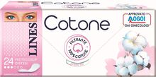 LINES COTONE PROTEGGISLIP DISTESI 24 PEZZI