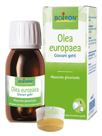 OLEA EUROPAEA MACERATO GLICERICO 60 ML INT image not present
