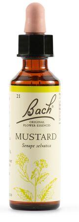 MUSTARD BACH ORIG 20 ML image not present