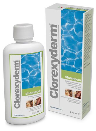 CLOREXYDERM SHAMPOO 250 ML image not present
