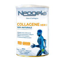 NEOGELA POLVERE 400 G