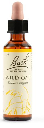 WILD OAT BACH ORIG 20 ML image not present