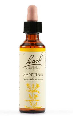 GENTIAN BACH ORIG 20 ML image not present