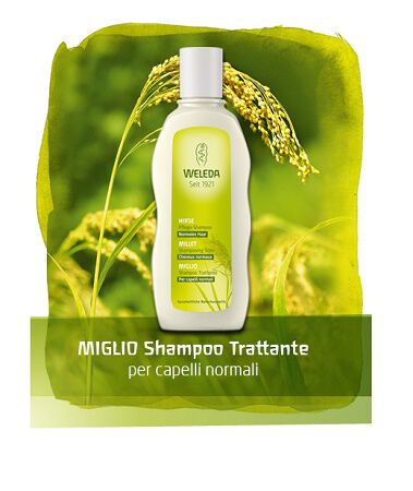 SHAMPOO MIGLIO 190 ML image not present