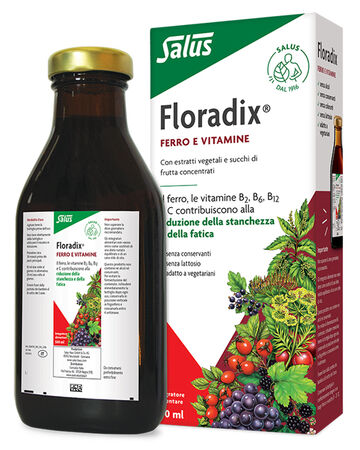 FLORADIX FERRO E VITAMINE 500 ML image not present