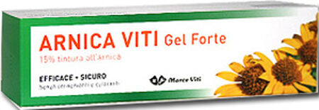 ARNICA VITI GEL FORTE 100 ML image not present