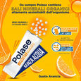 Polase Pocket  Integratore di Potassio e Magnesio - 14 buste orosolubili image number null