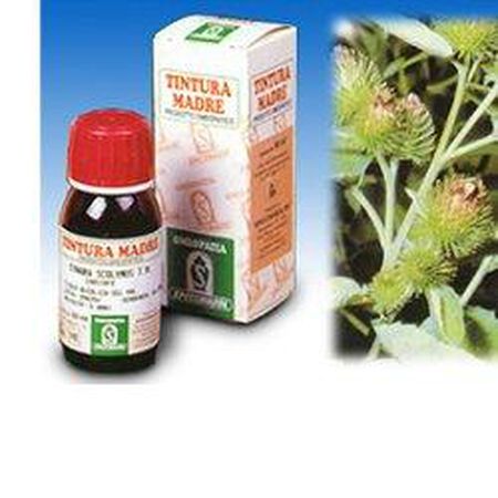 BARDANA 50ML TM image not present