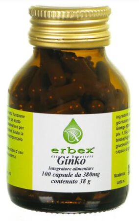 GINKGO BILOBA 100 CAPSULE 380 MG image not present