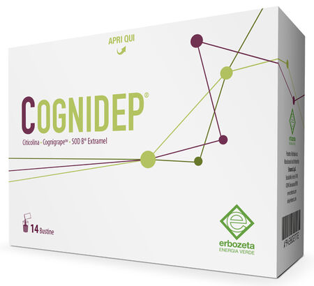 COGNIDEP 14 BUSTINE image not present