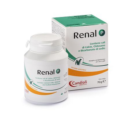 RENAL P MANGIME COMPLEMENTARE PER CANI E GATTI BARATTOLO 70 G image not present