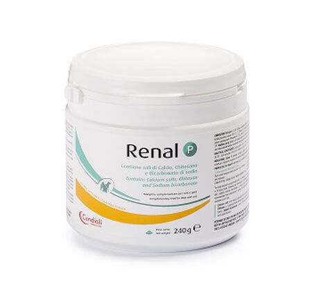 RENAL P MANGIME COMPLEMENTARE PER CANI E GATTI BARATTOLO 240 G image not present