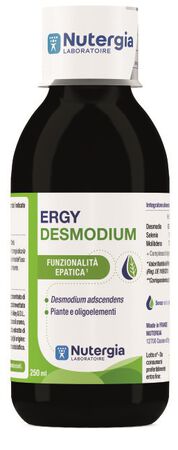 ERGYDESMODIUM 250 ML image not present