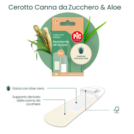 CEROTTO PIC GREEN CANNA ALOE MEDIO 20 PEZZI image not present