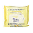 VITAMINDERMINA SALVIETTINE DETERGENTI 15 PEZZI image number null