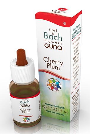 CHERRY PLUM GOCCE 10 ML image not present