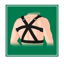 SOSTEGNO DORSO GIBAUD ORTHO 03