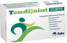 TENDIJOINT FORTE 20 COMPRESSE