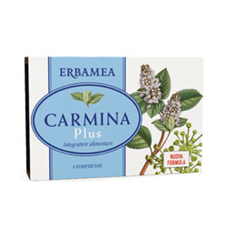 CARMINA PLUS 24 COMPRESSE 19,2 G image not present